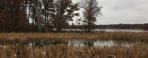 minnesota soil and water conservation.